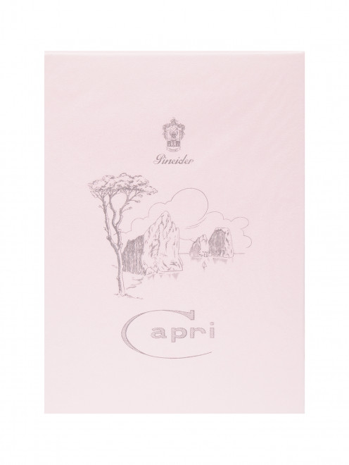 Футляр Capri на 50 открыток и 50 конвертов Pineider - Общий вид